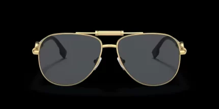 Versace Iconic - 0VE2236